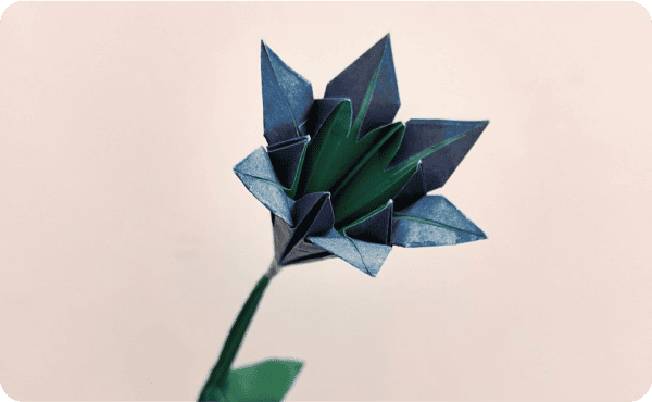 Team Up for Transformative Solutions